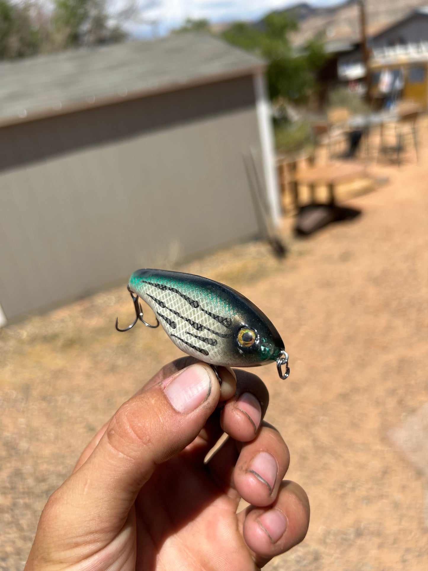 The Flutter Knocker Diver